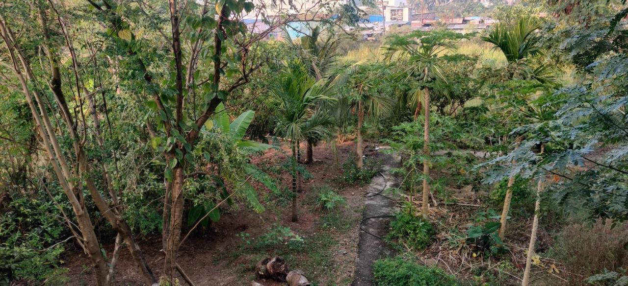 Gulmohar Cottages - Home Stay In 阿里巴格 外观 照片